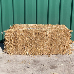 Pea Straw Bale